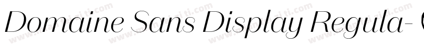Domaine Sans Display Regula字体转换